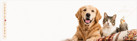 10 fatos curiosos sobre o relacionamento entre pets e seus donos